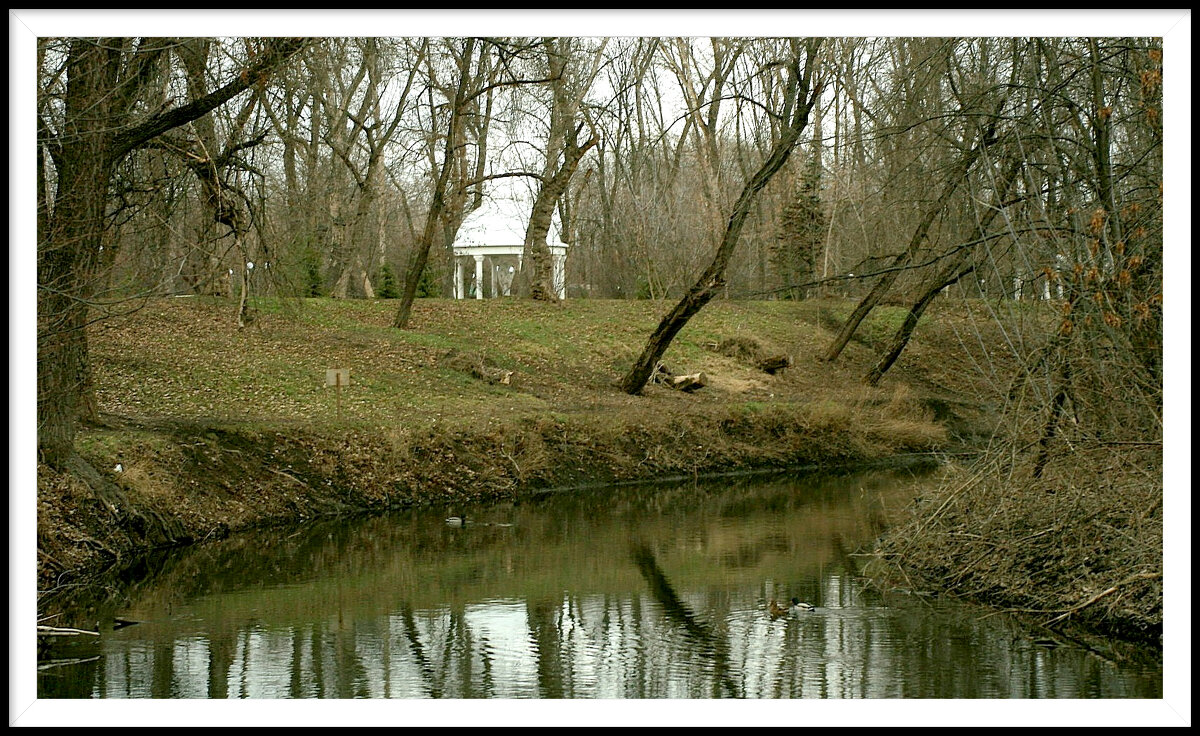 3 - Гонорий Голопупенко 3 - Гонорий Голопупенко