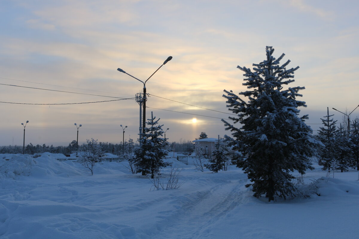 Среди снегов - Ольга Среди снегов - Ольга