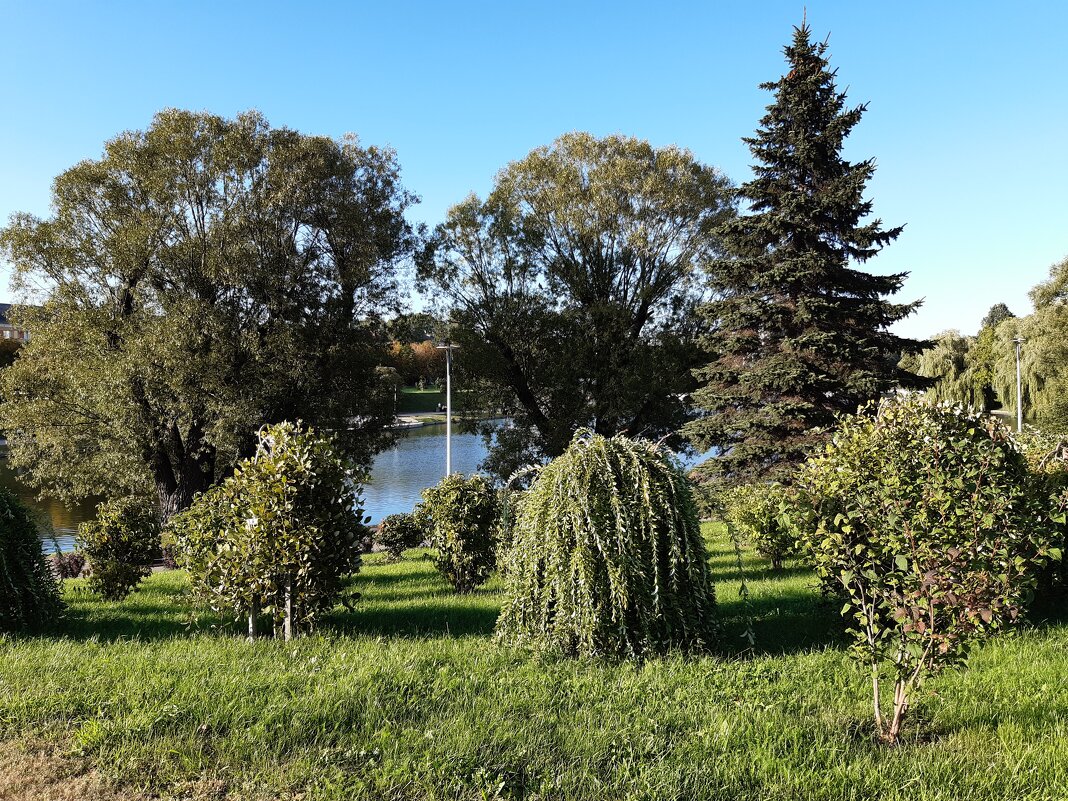 Прогулки по Калининграду - Галина Минчук Прогулки по Калининграду - Галина Минчук