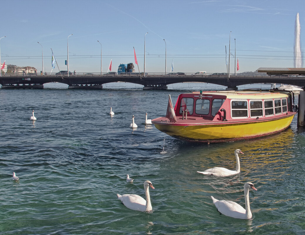 на Женевском озере - Sergey Grim на Женевском озере - Sergey Grim