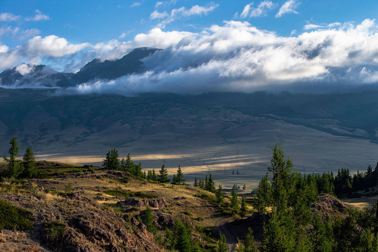 *** - владимир *** - владимир