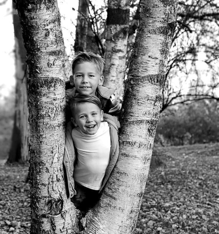 Два брата - Александр Кордюков