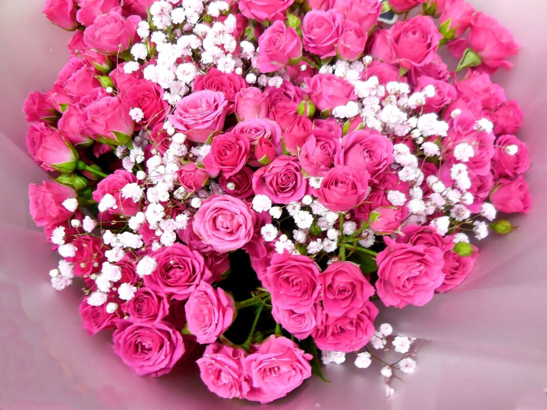 Для любящих и любимых - Надежда 