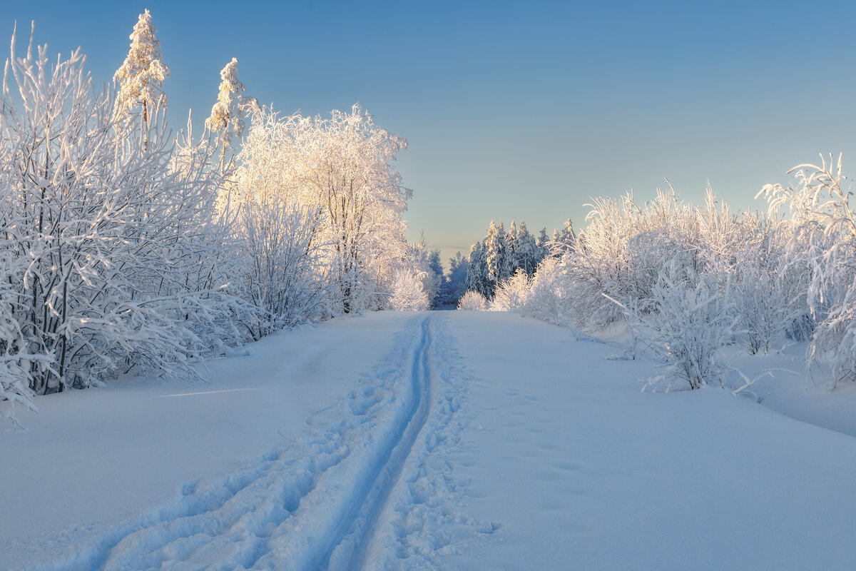 Зима - Владимир Колесников
