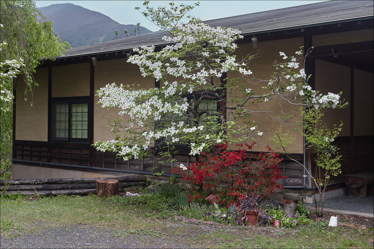 Я бы тут пожил... - Валерий Готлиб