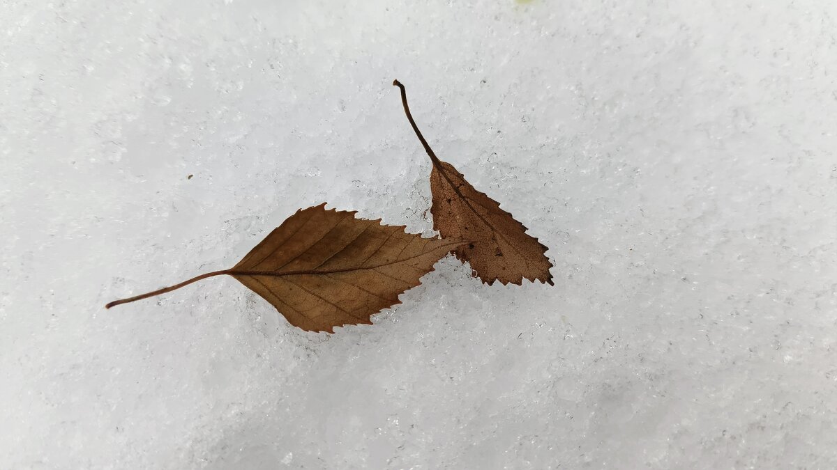 ***вдвоем не скучно*** - Olga Oskolkova ***вдвоем не скучно*** - Olga Oskolkova