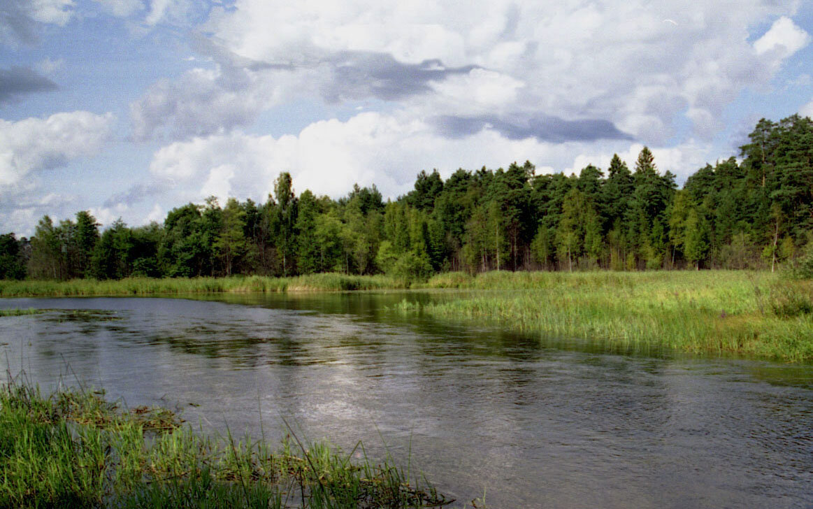 На озере - Наталья 