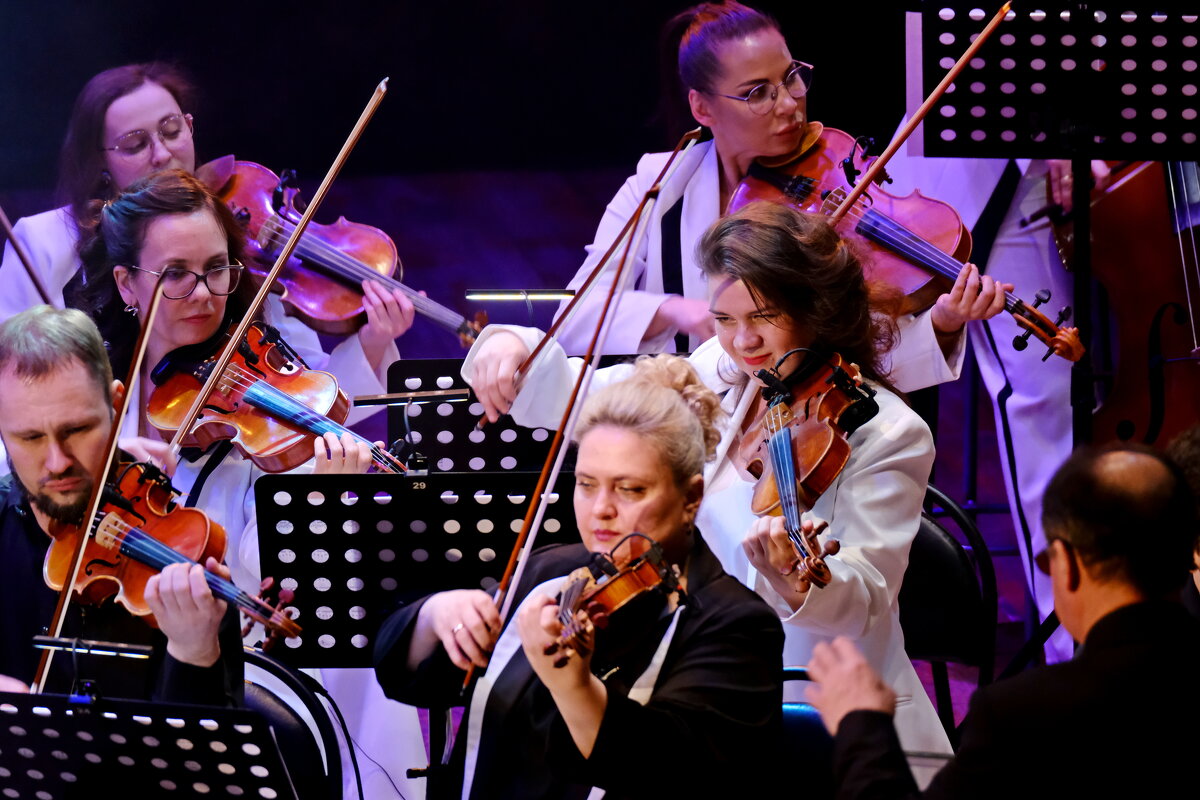 Фрагменты выступления - Андрей Зайцев Фрагменты выступления - Андрей Зайцев