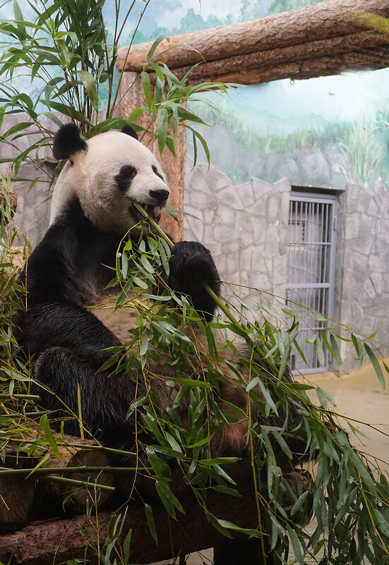 Время обеда - Ольга Время обеда - Ольга