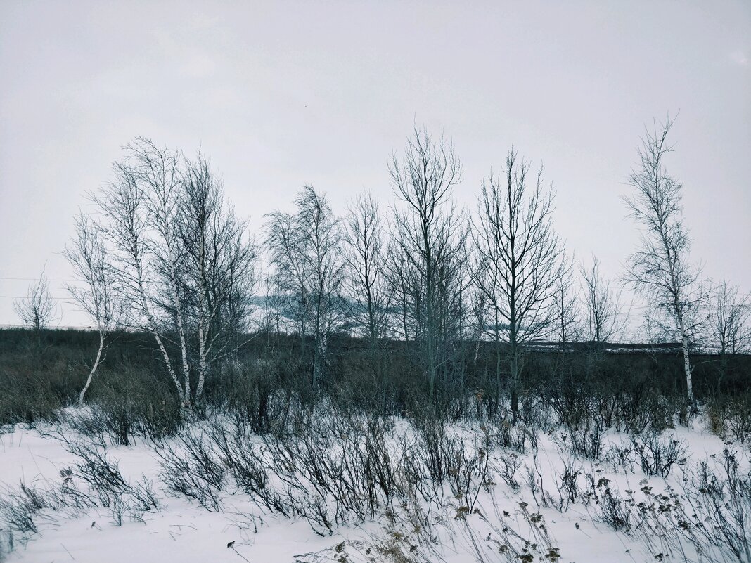 В перелесках - Андрей Хлопонин В перелесках - Андрей Хлопонин
