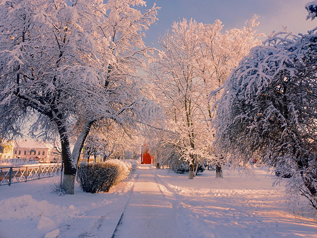 Снежные алеи - Сергей Кочнев