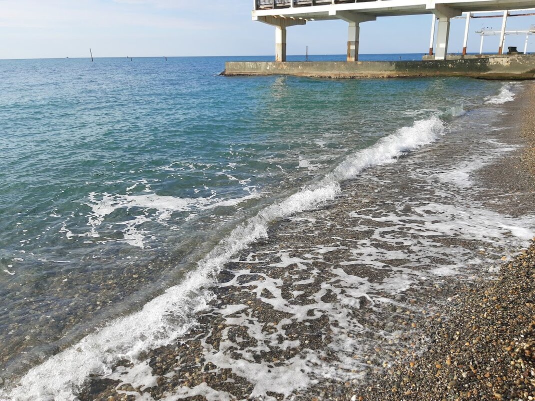 Санаторий Авангард Сочи. Январь 2025 - Tata Wolf Санаторий Авангард Сочи. Январь 2025 - Tata Wolf