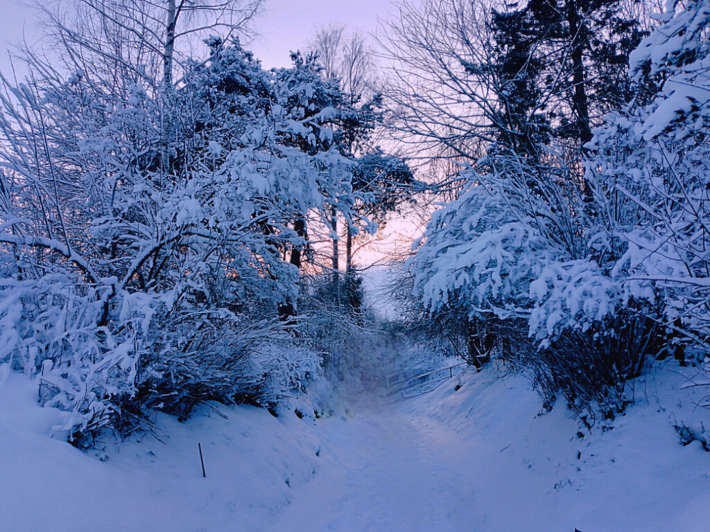 На зимнем  погосте - Сергей Кочнев