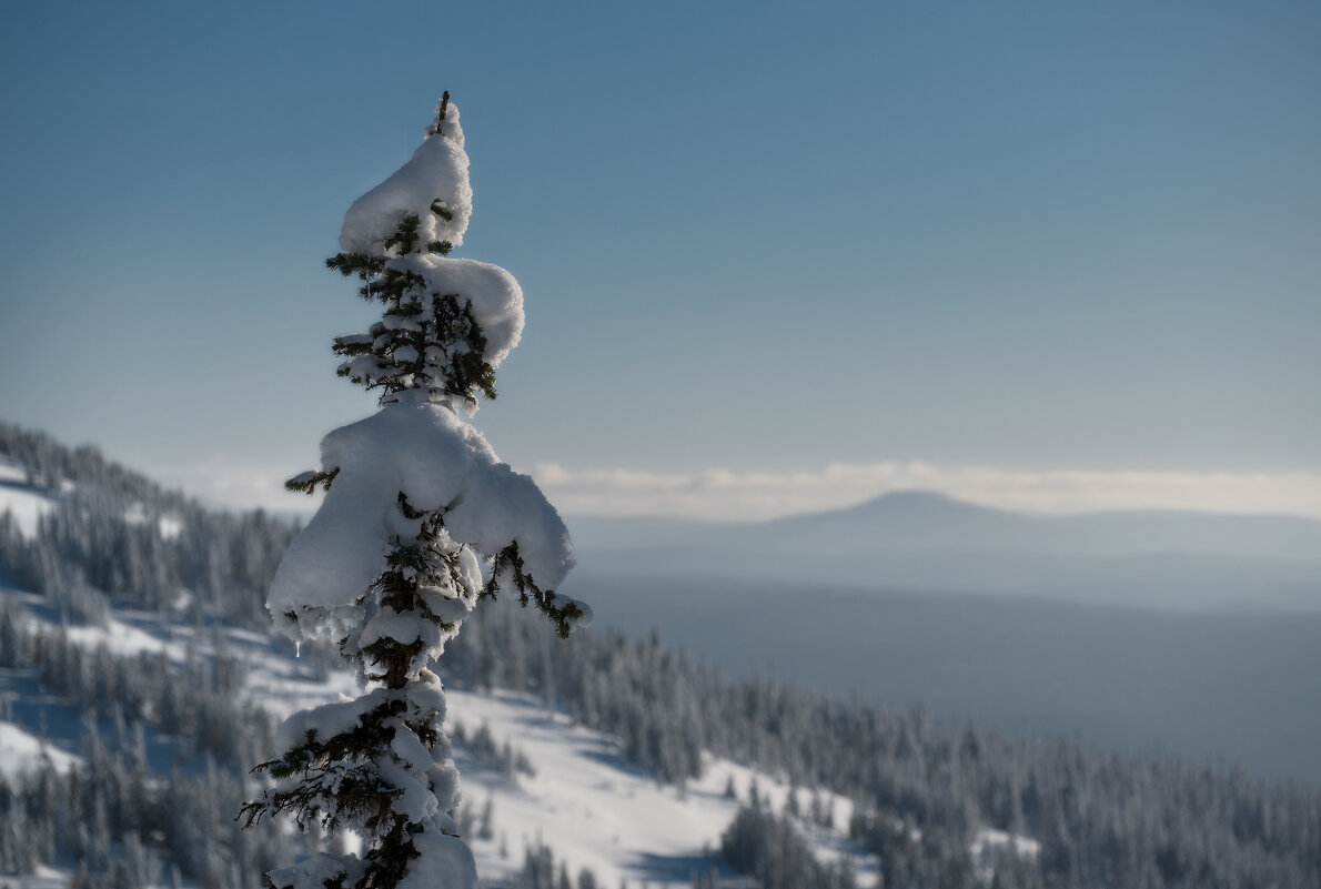 * - Александр Иванов