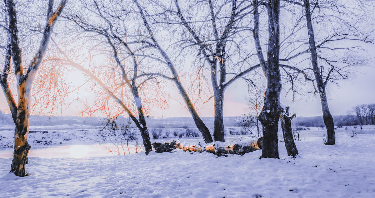 Сегодня морозец - Sergei Vikulov Сегодня морозец - Sergei Vikulov