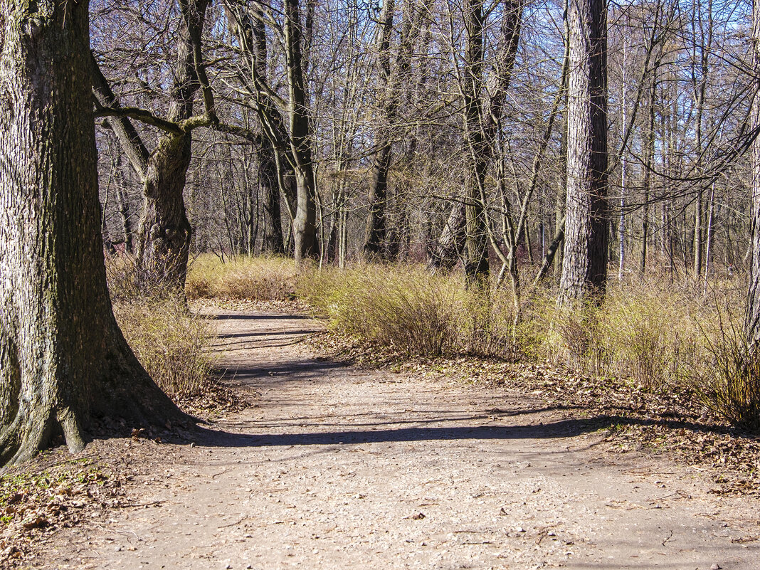 *** - Александр 