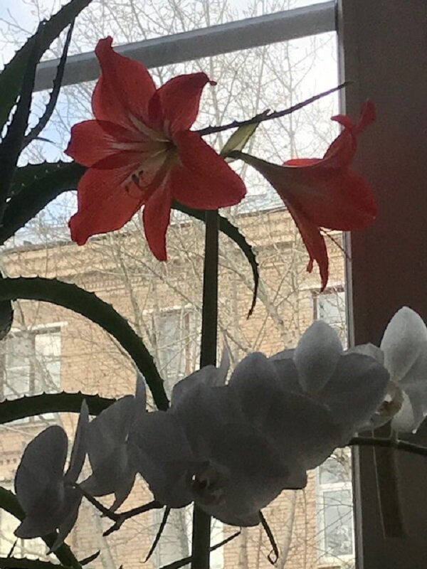 Весна скоро!! - Татьяна Юрасова