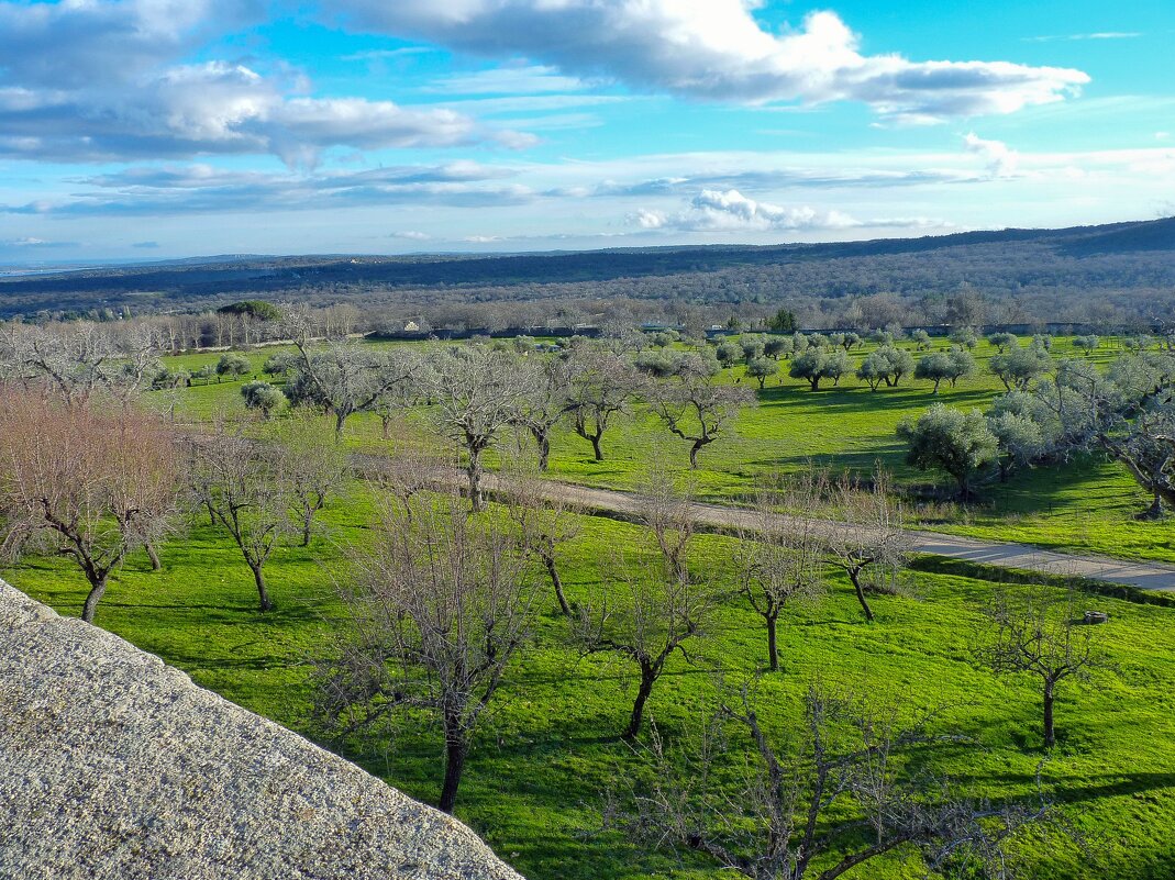 Монастырский сад - Алексей Просвиряков Монастырский сад - Алексей Просвиряков