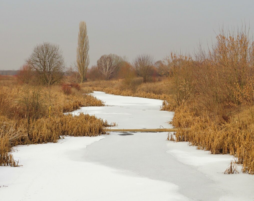 Белая лента реки - Андрей Снегерёв Белая лента реки - Андрей Снегерёв