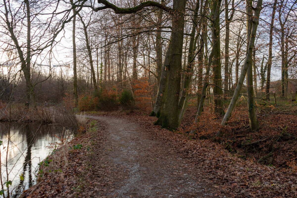 По лесопарку... - Николай Гирш По лесопарку... - Николай Гирш