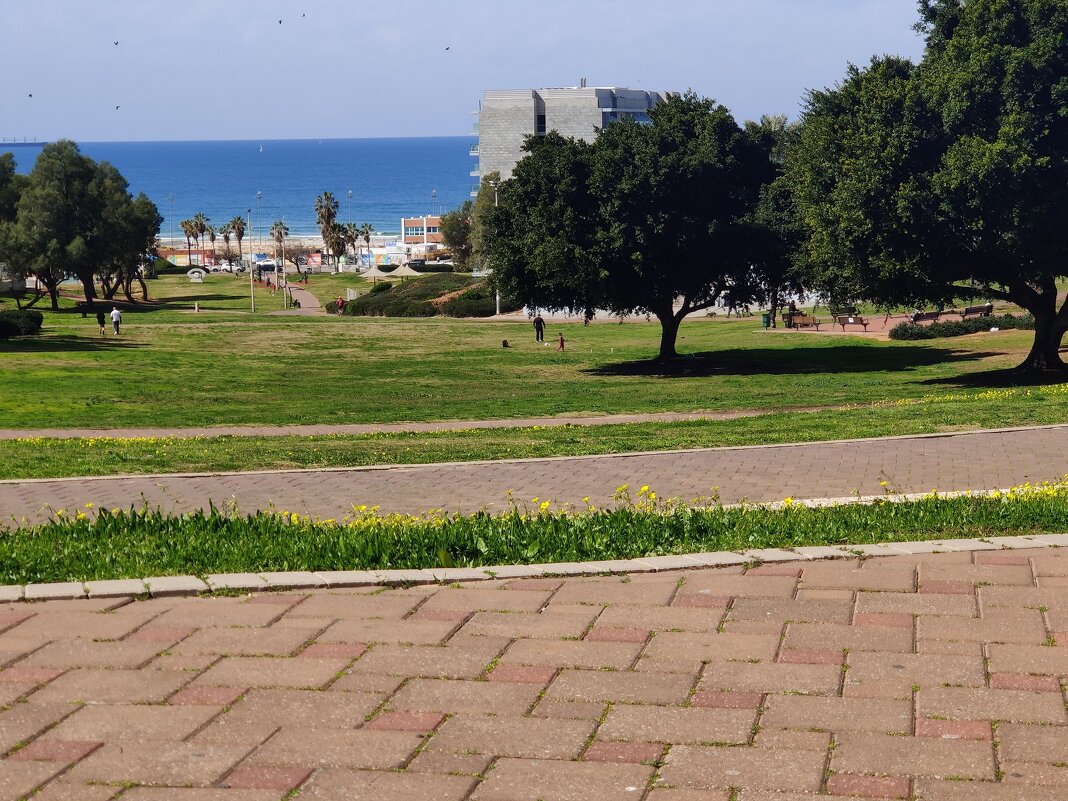 Субботняя прогулка! - Светлана Хращевская Субботняя прогулка! - Светлана Хращевская