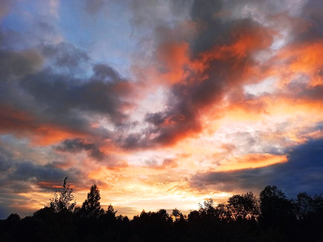 Закат в Ефимовом бору - svk * Закат в Ефимовом бору - svk *