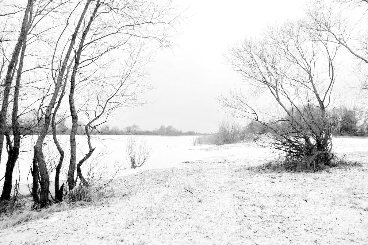 ... - Елена Пономарева