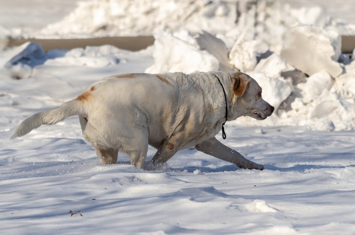 Вижу цель. - Виктор Иванович Чернюк Вижу цель. - Виктор Иванович Чернюк