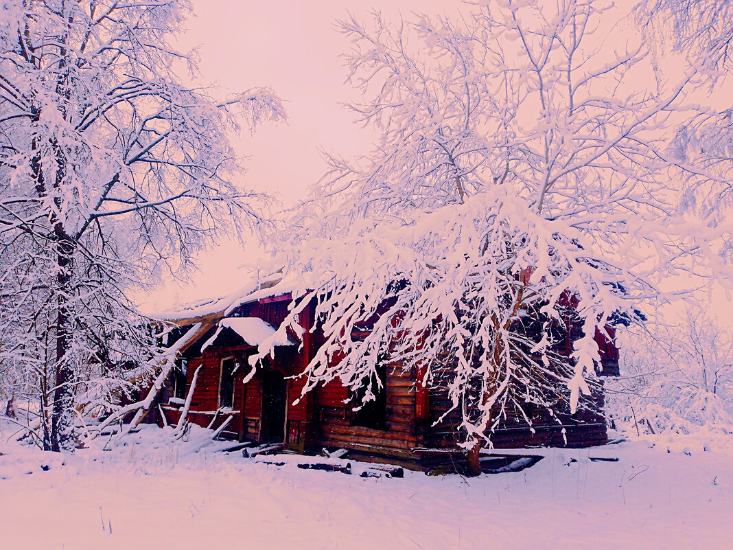 Зимний день - Сергей Кочнев