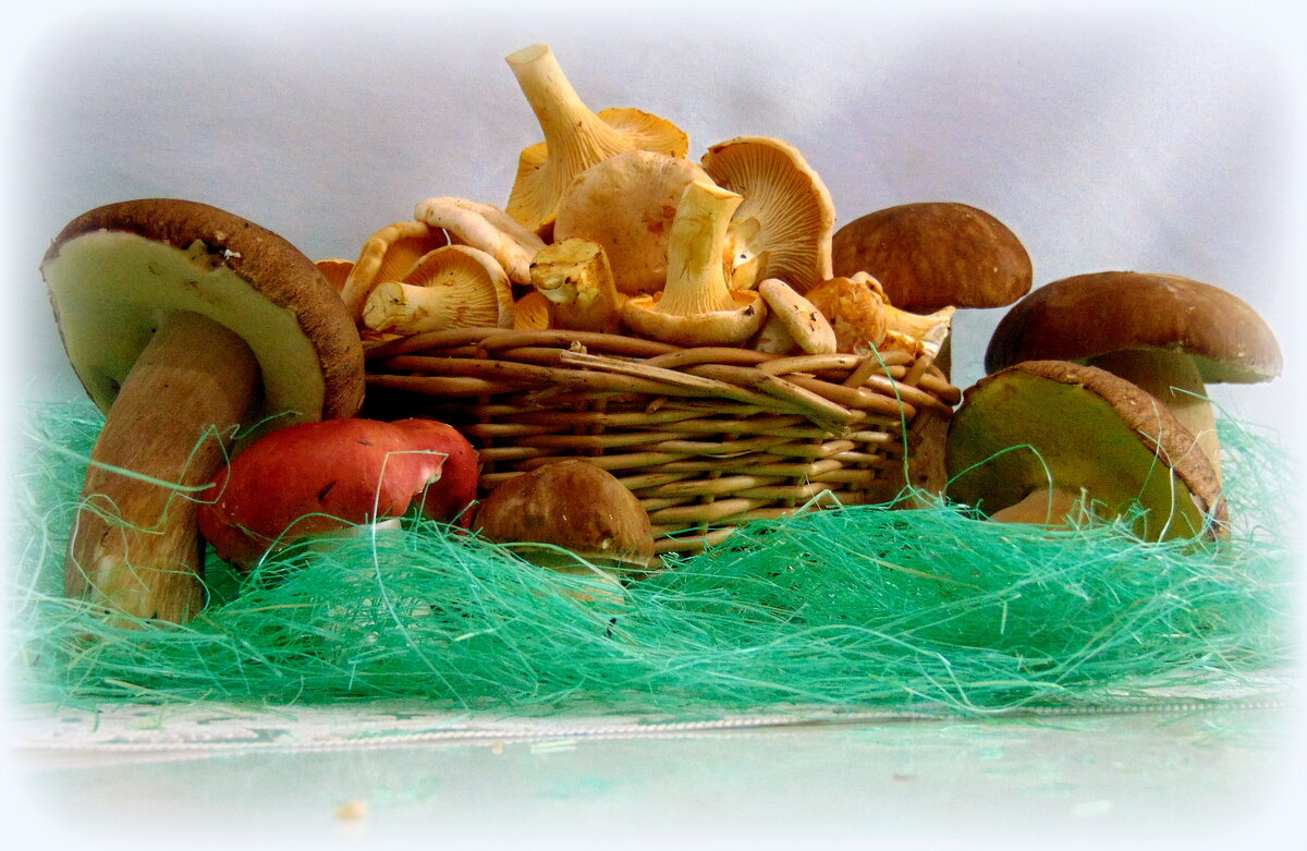 Собирали мы грибы. - nadyasilyuk Вознюк Собирали мы грибы. - nadyasilyuk Вознюк