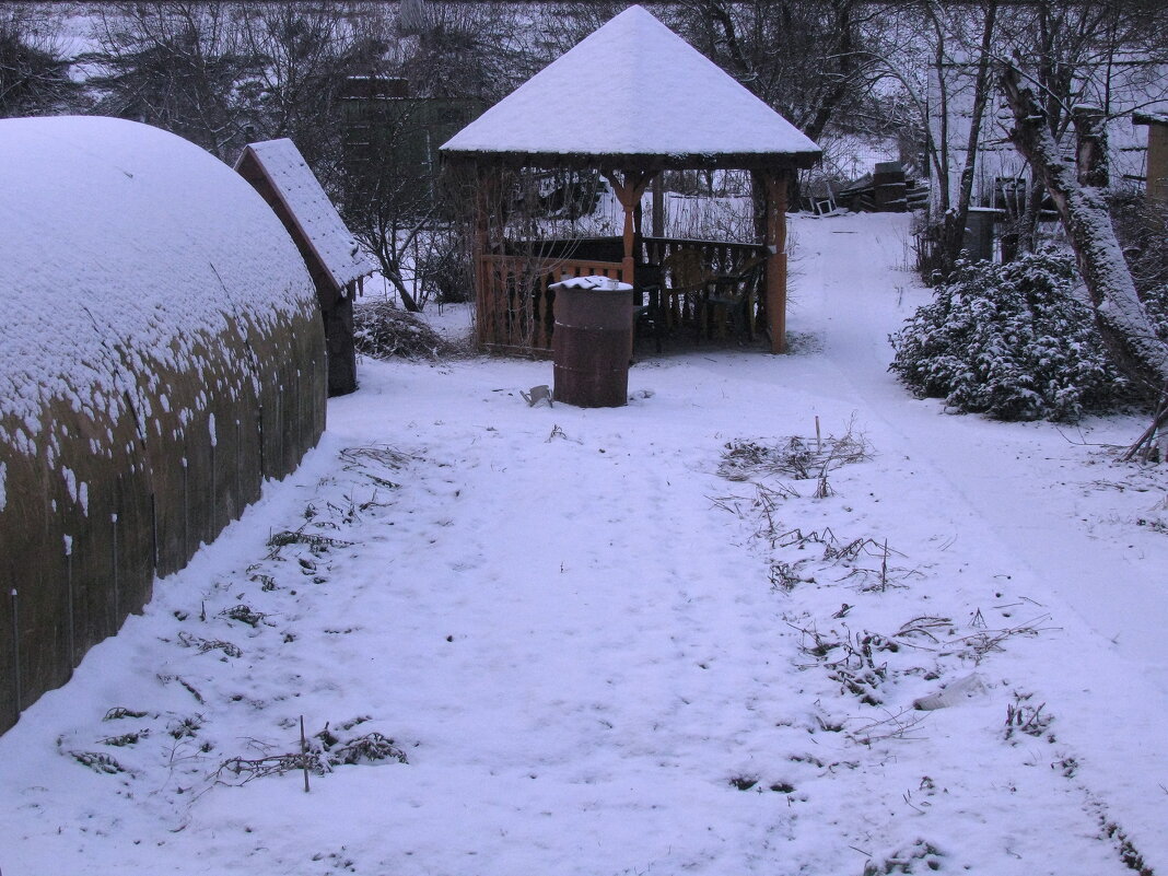 Украсил снег мой сад - Людмила Смородинская Украсил снег мой сад - Людмила Смородинская