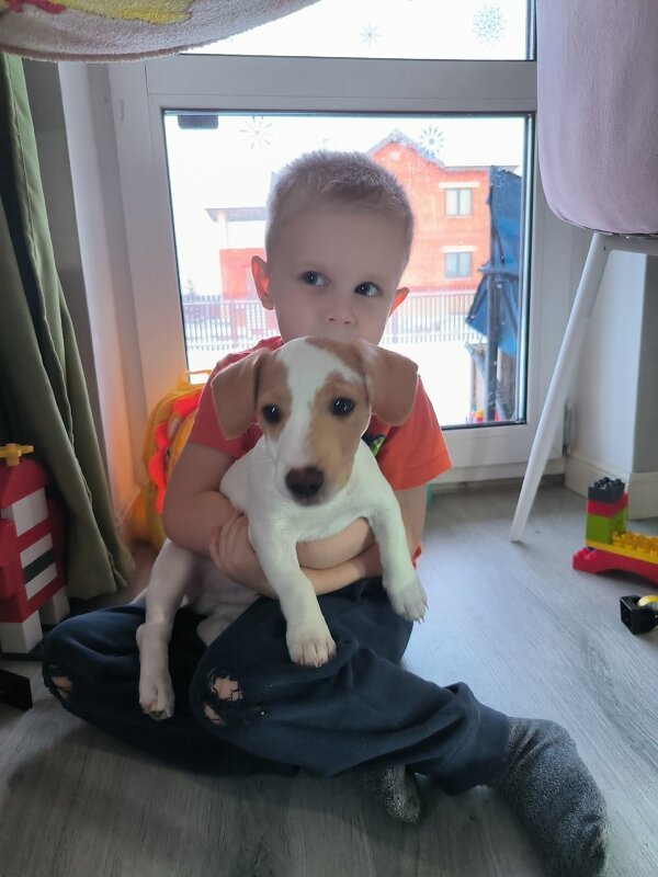 С новым другом. - Ольга 