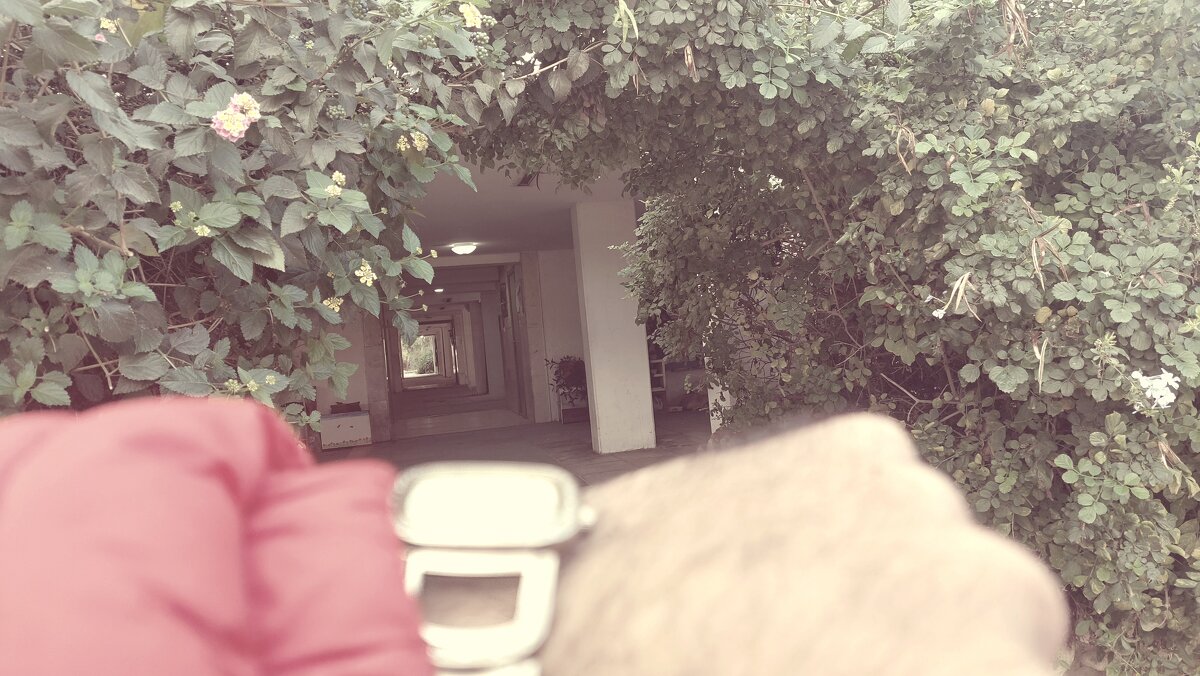 12  КЛОС (554) - CLOSE WAYS ALL