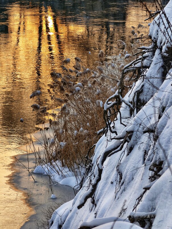 Февральский берег - Сергей Февральский берег - Сергей
