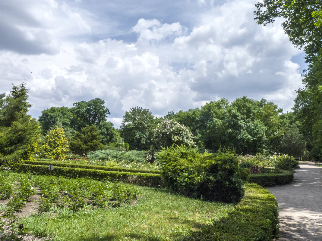 В ботаническом саду Н В Багрова - Валентин Семчишин