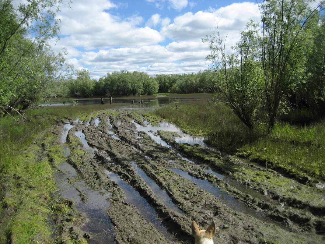 Пока не пройти - Anna Ivanova Пока не пройти - Anna Ivanova