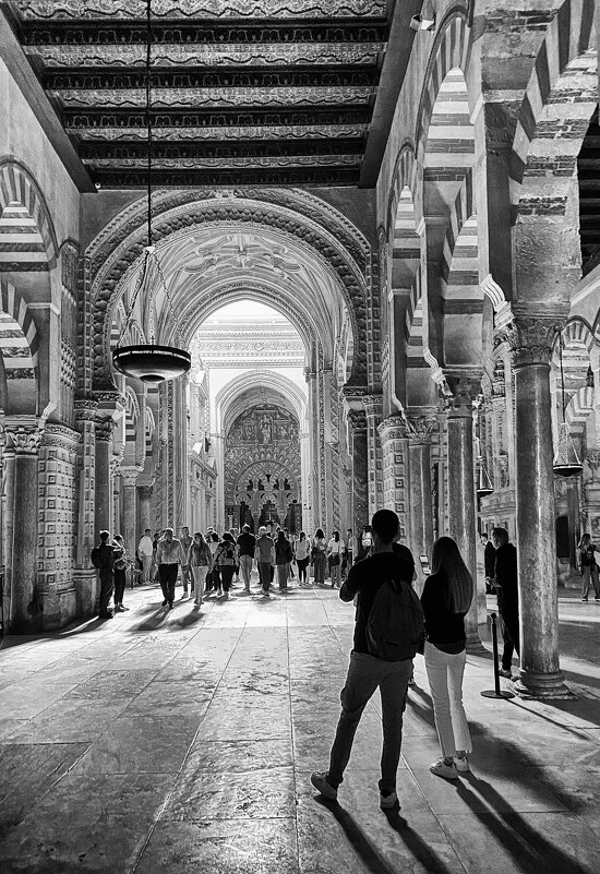 Запечатлеть красоту... - Elena Ророva