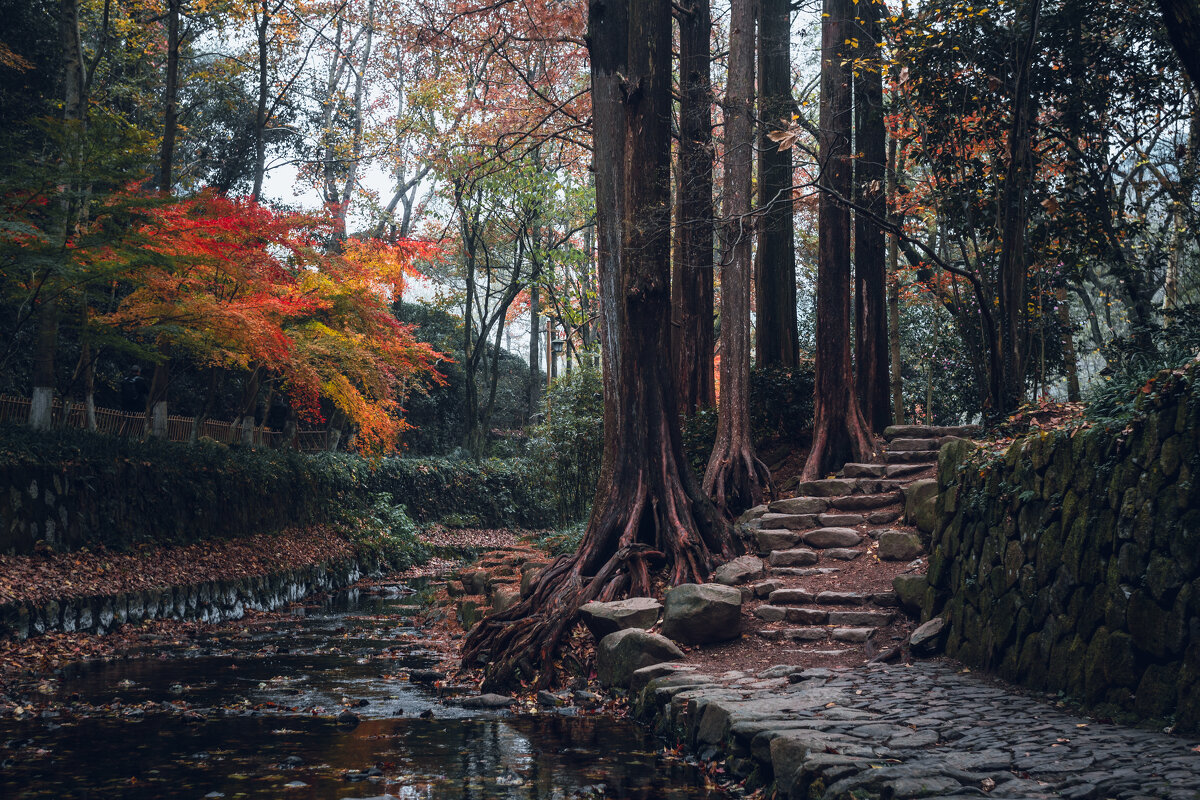 Цзюси, или Девять ручьев в туманном лесу. Ландшафтный парк в Ханчжоу - Дмитрий Цзюси, или Девять ручьев в туманном лесу. Ландшафтный парк в Ханчжоу - Дмитрий