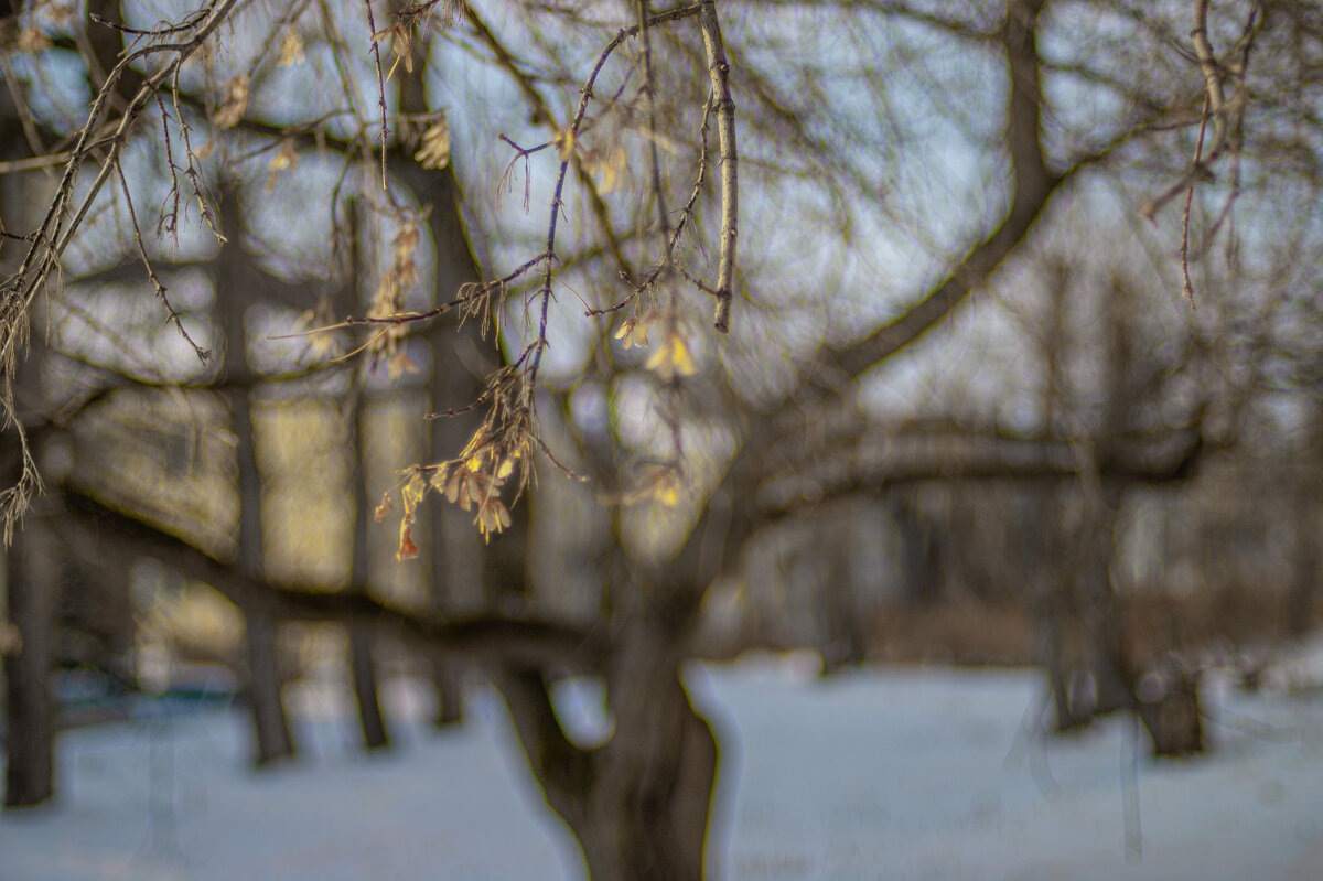 Зимний вечер - А кузнецов