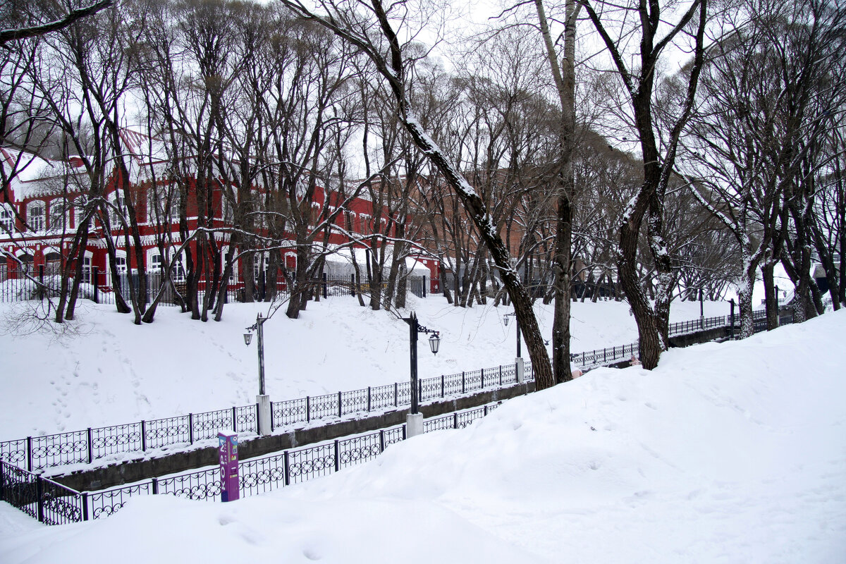 В Райском саду - Евгений Шафер В Райском саду - Евгений Шафер