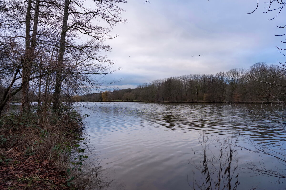 *** - Николай Гирш *** - Николай Гирш