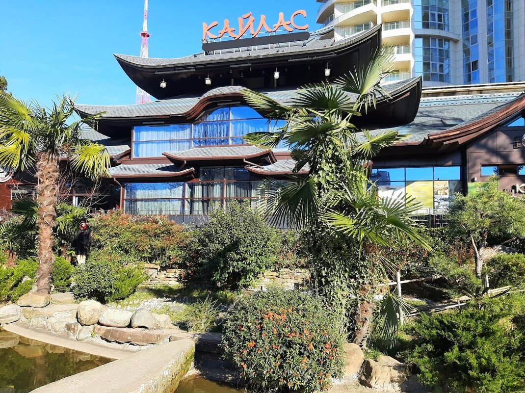 Сквер  Японской дружбы - Tata Wolf