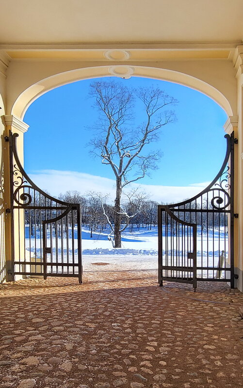 Большой Меньшиковский дворец - rittchie Большой Меньшиковский дворец - rittchie