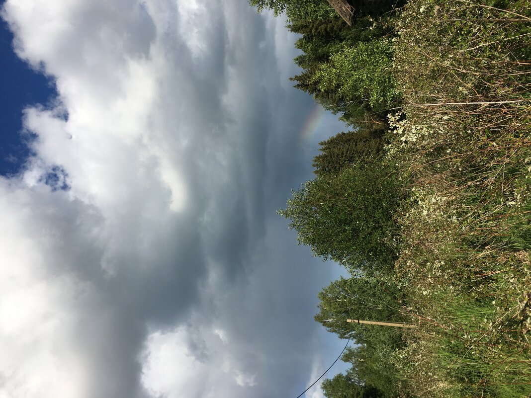 ***скоро грянет гром...*** - Olga Oskolkova ***скоро грянет гром...*** - Olga Oskolkova