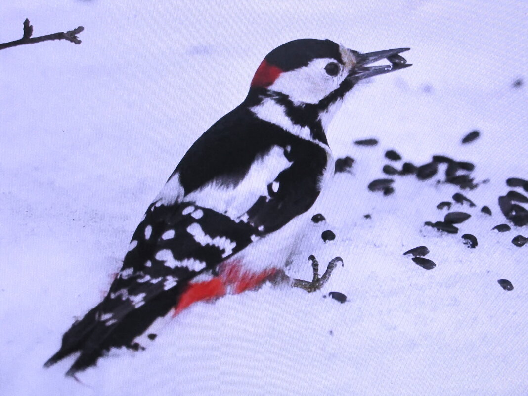 Добрался до семечек - Людмила Смородинская Добрался до семечек - Людмила Смородинская