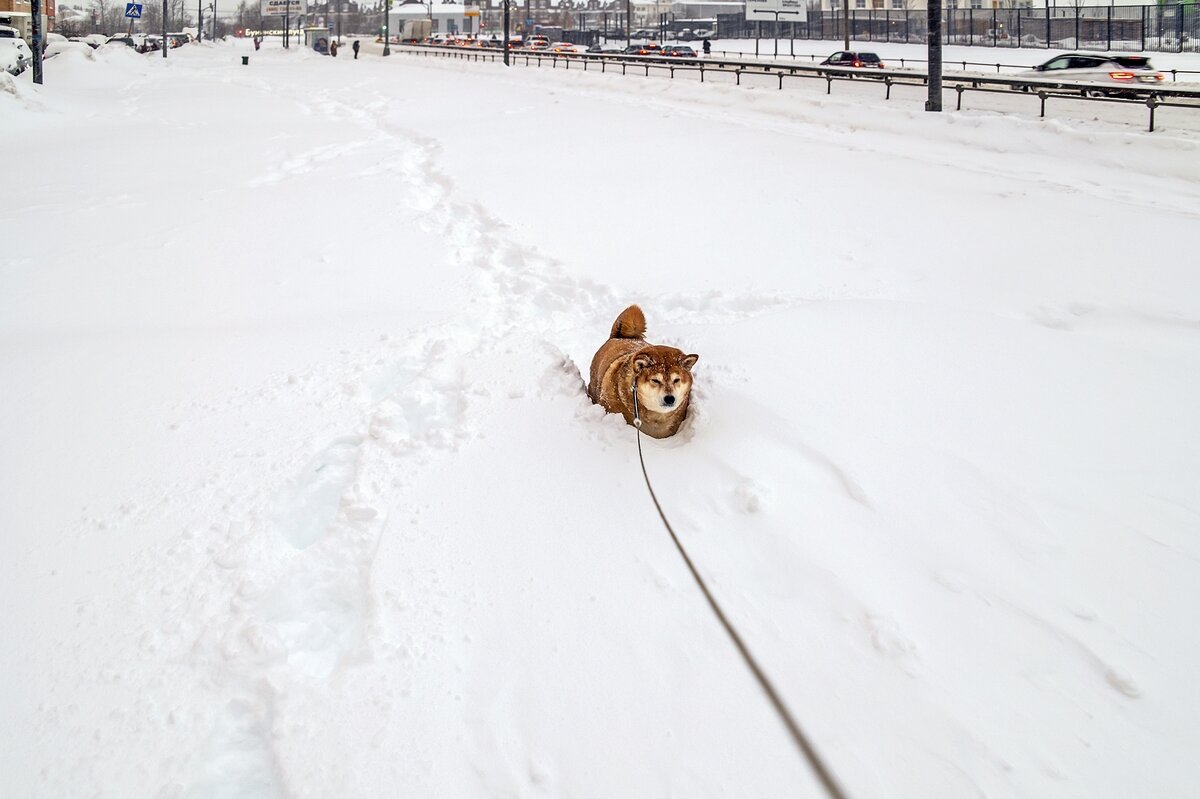 Декабрь 2022 - Валерий Иванович Декабрь 2022 - Валерий Иванович