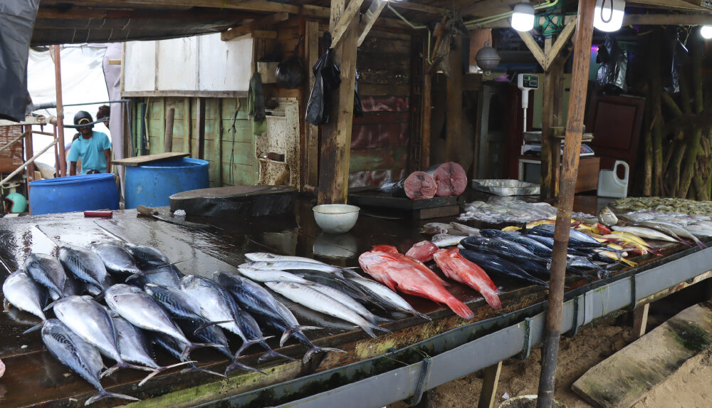 Свежий тунец и не только... - Галина Ильясова