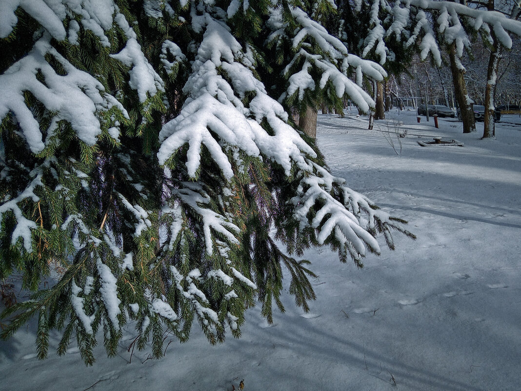 Февраль. - Андрей. Февраль. - Андрей.