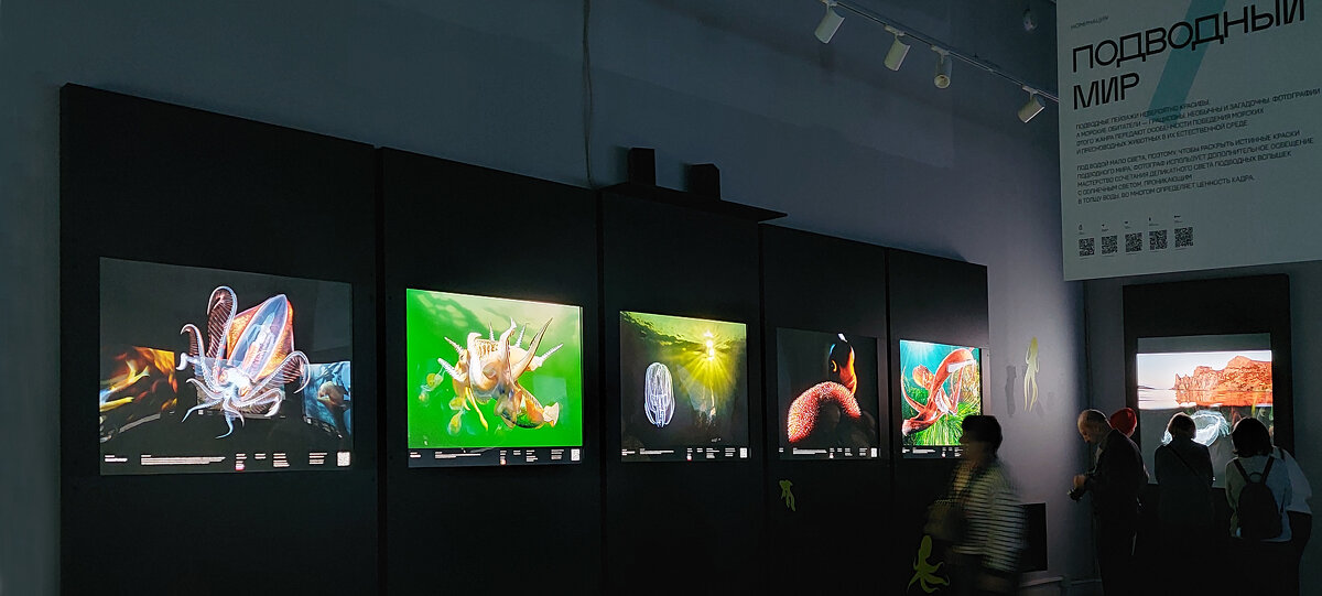 На выставке "Золотая черепаха" - ИРЭН@ . На выставке "Золотая черепаха" - ИРЭН@ .