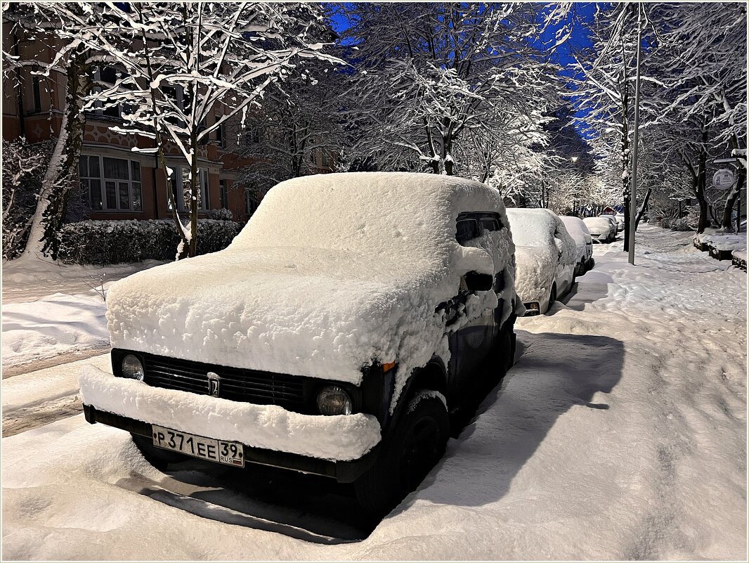 У нас выпал снег. - Валерия Комова У нас выпал снег. - Валерия Комова
